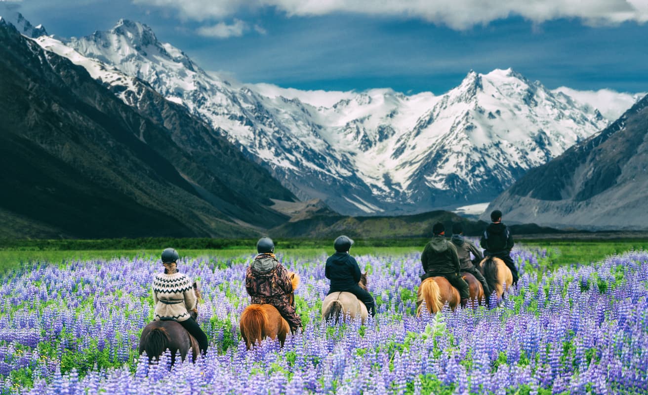 Surge in American Expats Eyeing New Zealand After the U.S Election