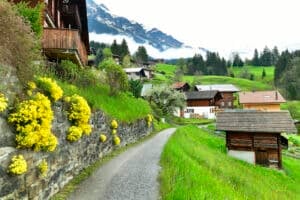 Tax Pressures Drive Wealthy Americans Moving Cash to Switzerland