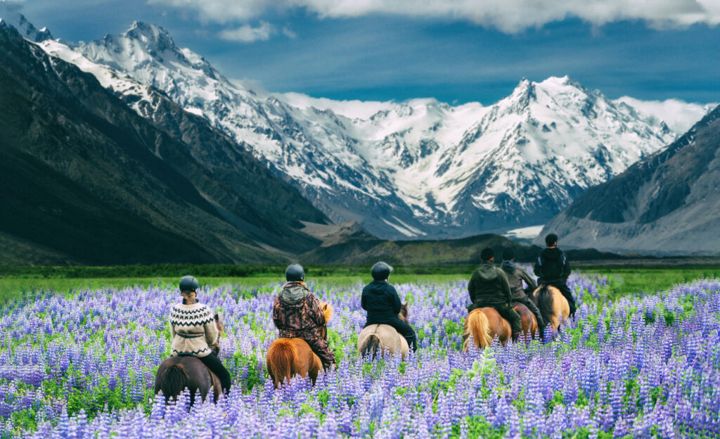 New Zealand scenery