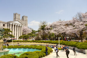 Kyung Hee University campus in Seoul during cherry blossom season, where new South Korea Top-Tier Visa rules now cover foreign STEM academics.